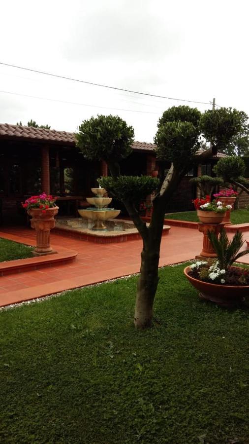 Hotel Drini