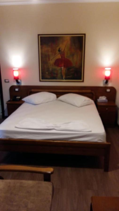 Hotel Drini