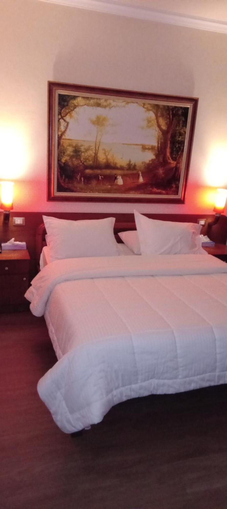 Hotel Drini 3*
